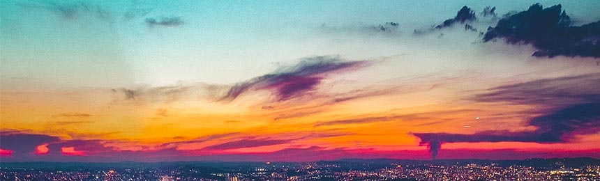 宁德茶虫网_宁德品茶